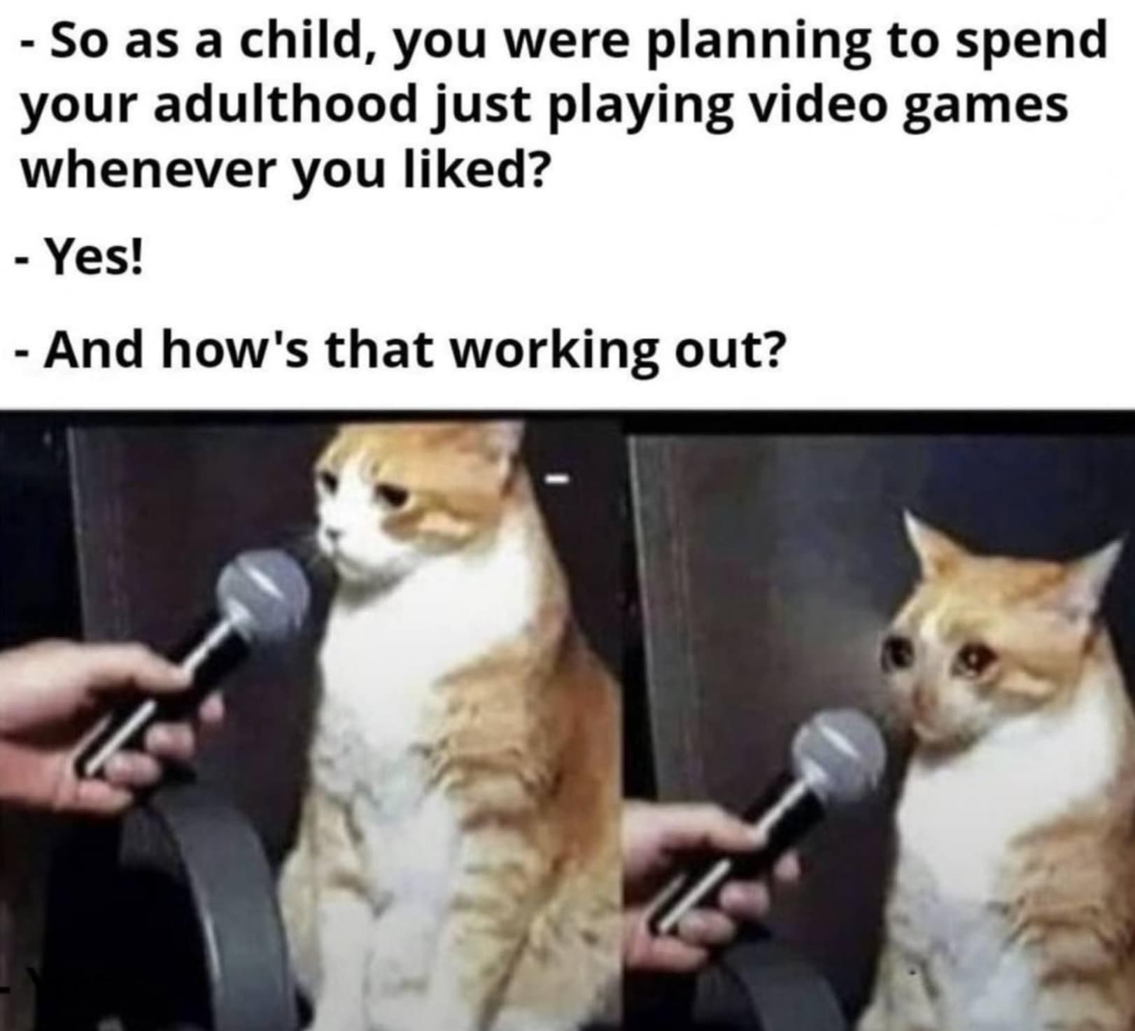 so you must be good at it meme - So as a child, you were planning to spend your adulthood just playing video games whenever you d? Yes! And how's that working out?